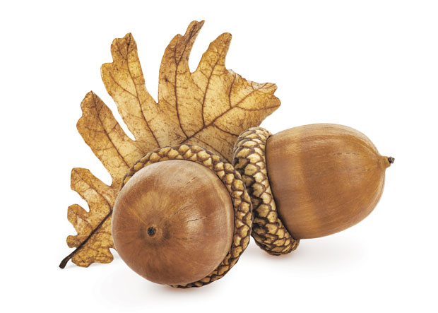 Кафа од жира за бољу крвну слику 